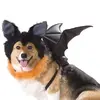 bat-large-dog-300.webp