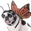 images.webp
