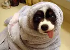 a7c3f81d8b4da151d9af5eeaceba3d31.webp