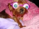 images.webp
