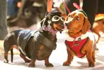 ad_181597803-e1442847173639.webp