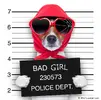 Cute-dog-with-banner-BAD-GIRL.webp
