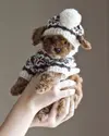 Pictures-Of-Pets-Wearing-Clothes-22.webp