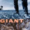 GIANT.webp