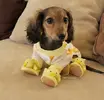 k9b3Kcc.webp