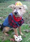Farmer-Rosie-2.webp