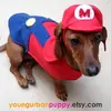 mario_dog_costume.webp