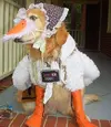 dog-costume.webp