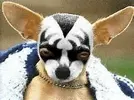 upload_2016-7-2_13-0-39.webp