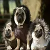 small_diet-and-nutrition-of-pug-dogs-i-cup-high-quality-dry-dog-food-daily.webp