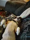 1710761031391.webp