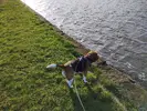1710865092798.webp