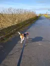 1710865128839.webp