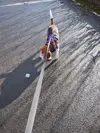 1710865159992.webp