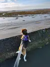 1710865244579.webp