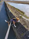 1710865281715.webp