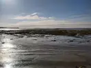 1710865314174.webp