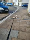 1710865345011.webp
