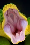 1711386617321.webp