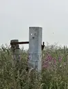065ADB7A-0351-48DD-92C0-7C6704DFFF73.webp