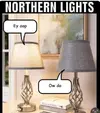 northern lights.webp