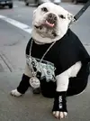 b0e4c9a9.webp