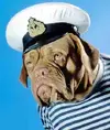 captain.webp