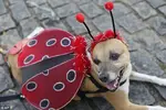 25ABC90100000578-0-image-a-11_1423936124794.webp