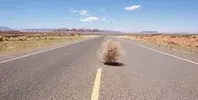 tumbleweed.webp