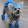 b5211831c961e5141e5704b1d62538cd.webp