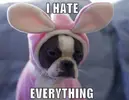 630a6082d1e3b57a7e40d102f1782c37.webp