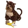 monkey.webp
