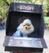 tron2.webp