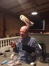 olly on the head 2.webp