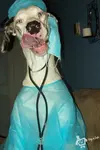 colbydoc.webp