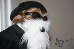 dogsjan16b.webp