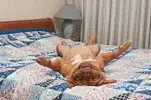 image.webp