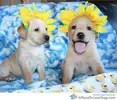 02757d6a181a22037dfdac929d684827.webp
