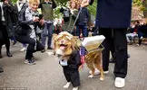 2DC4902900000578-0-image-a-103_1445802296242.webp