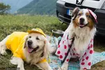 christerhedberg_130719_121642_0018.webp