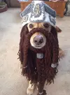 beard.webp