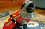 images.webp