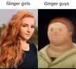 Gingers.webp