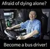 bus driver.webp