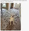 01A4B046-9631-41FA-AD64-D6BA2B57A25A.webp