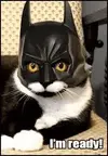 1720284757146.webp
