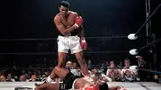 1721607429006.webp