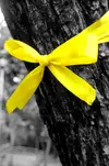 tie_a_yellow_ribbon__by_nerakoitap14_64.webp