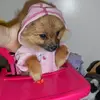 photo.webp