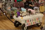 635715008013669203580870121_3-Pugs-in-a-Tub_thumb.webp